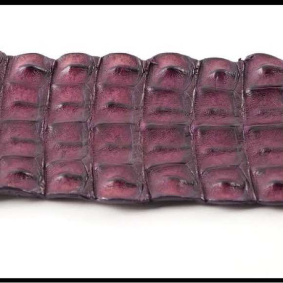 New! Via La Moda Genuine Nile Crocodile Belt - Picture 2 of 12